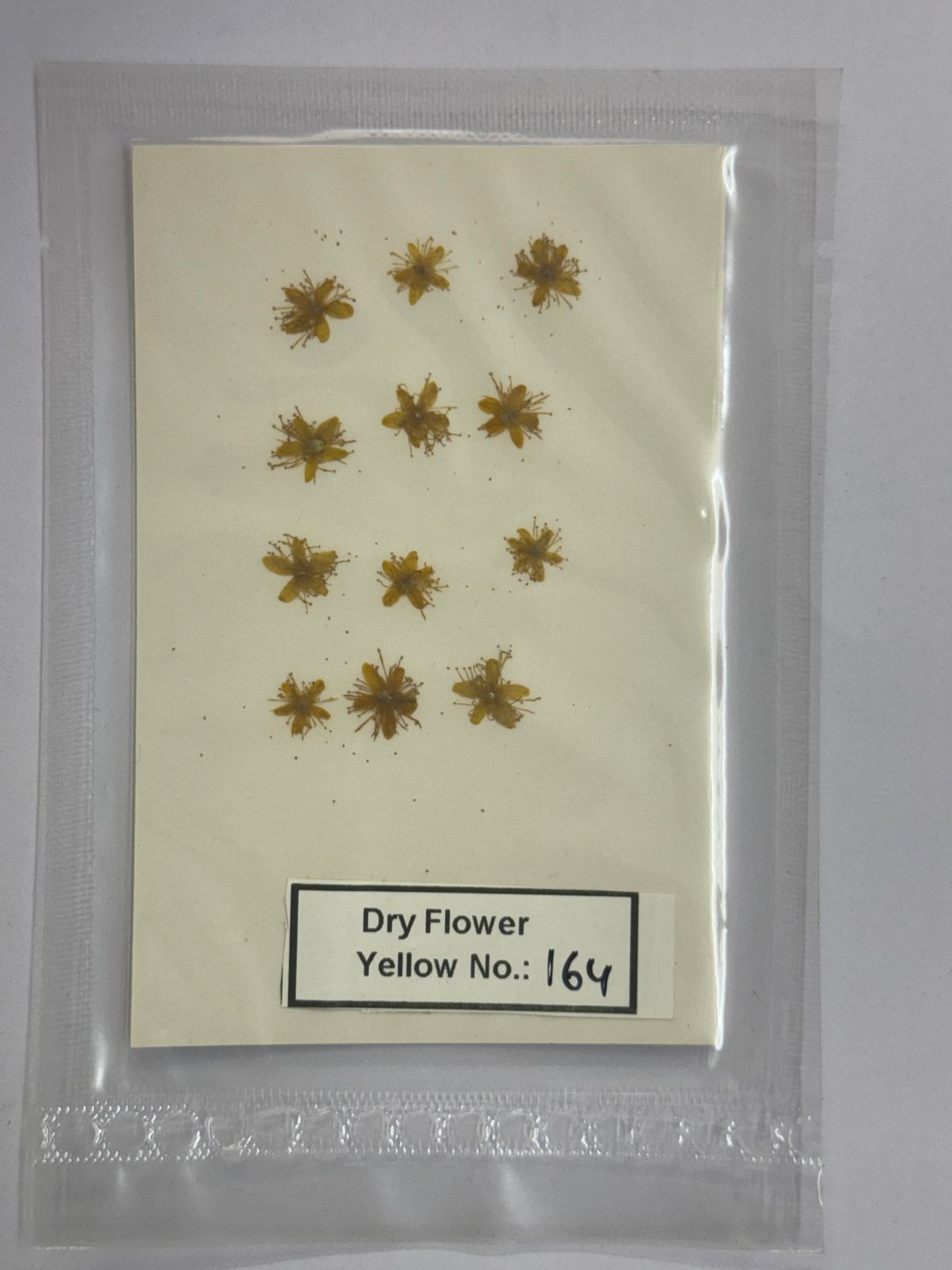 Pressed Dry Flowers- 1 pack – design – 164