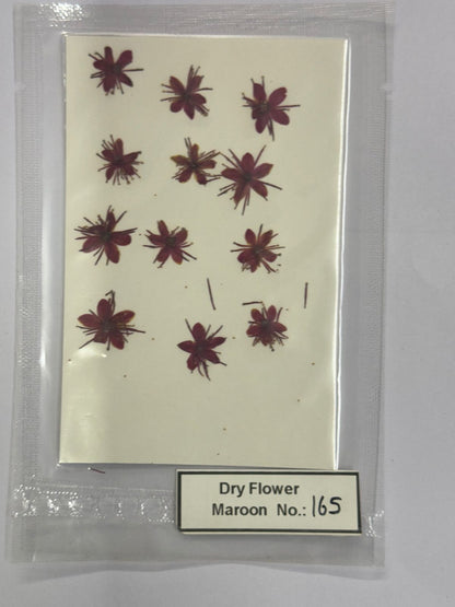 Pressed Dry Flowers- 1 pack – design – 165