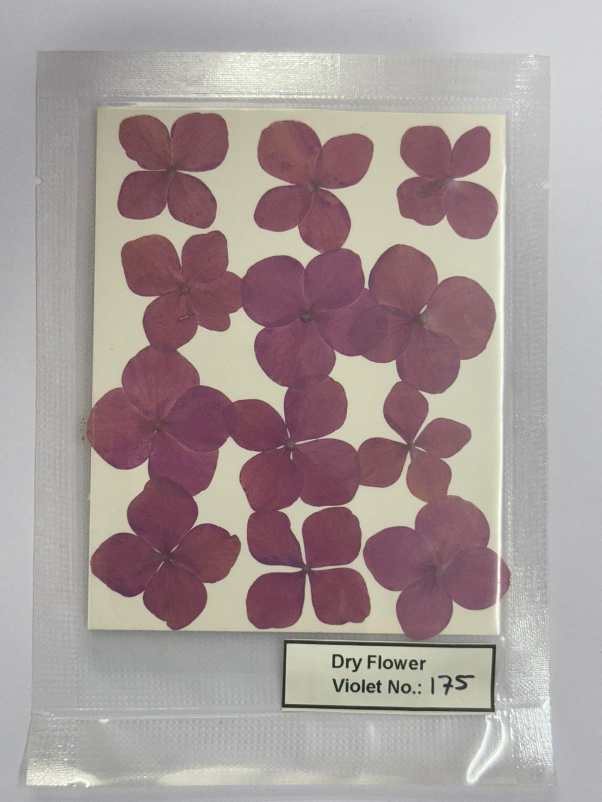 Pressed Dry Flowers- 1 pack – design – 175