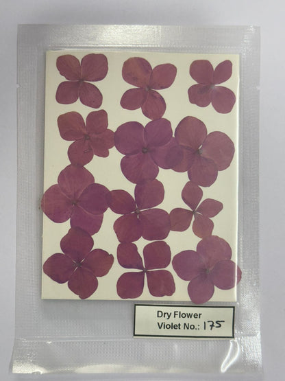 Pressed Dry Flowers- 1 pack – design – 175