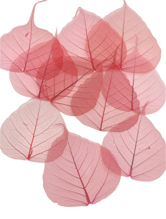 Leaves – 10 pieces- Design – 2