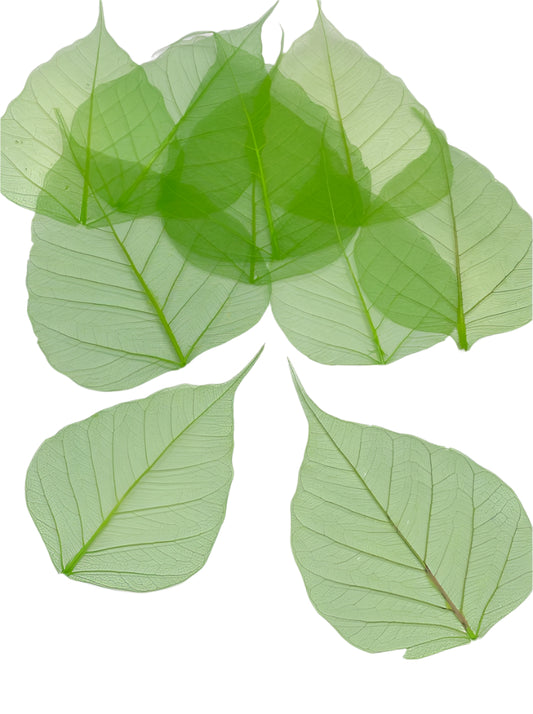 Leaves – 10 pieces- Design – 3