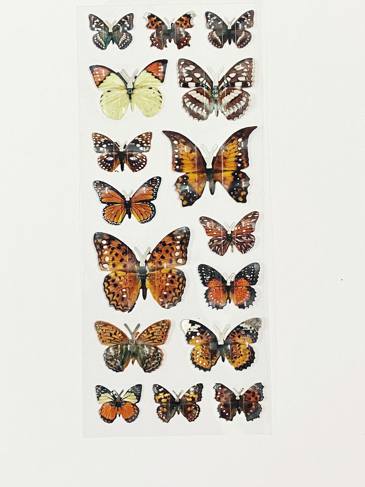 3D Butterfly Sticker – CPJ476