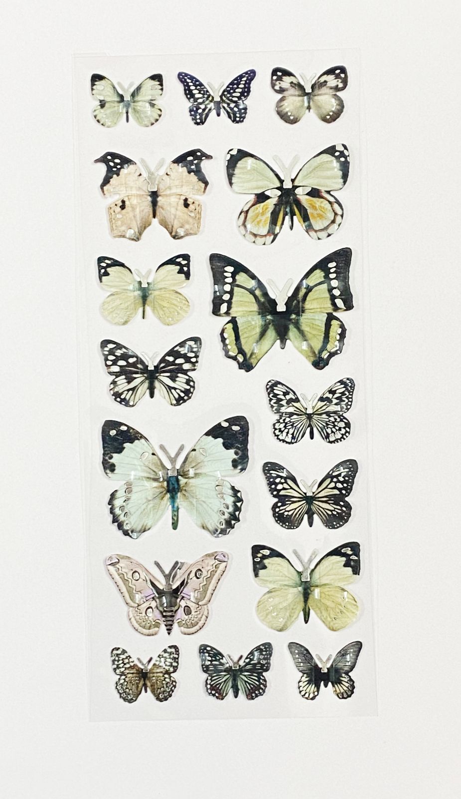 3D Butterfly Sticker – CPJ478