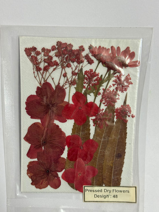Pressed Dried Flowers- 1 pack Design -48