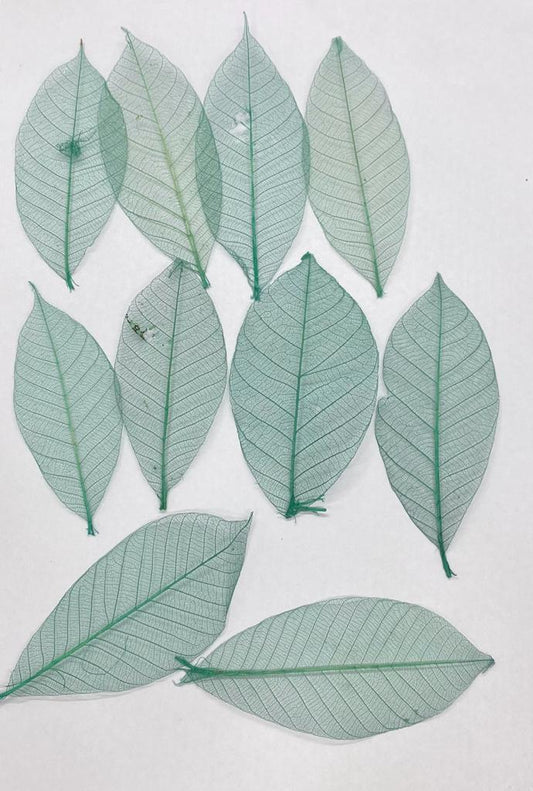 Leaves – 10 pieces- Design – 5