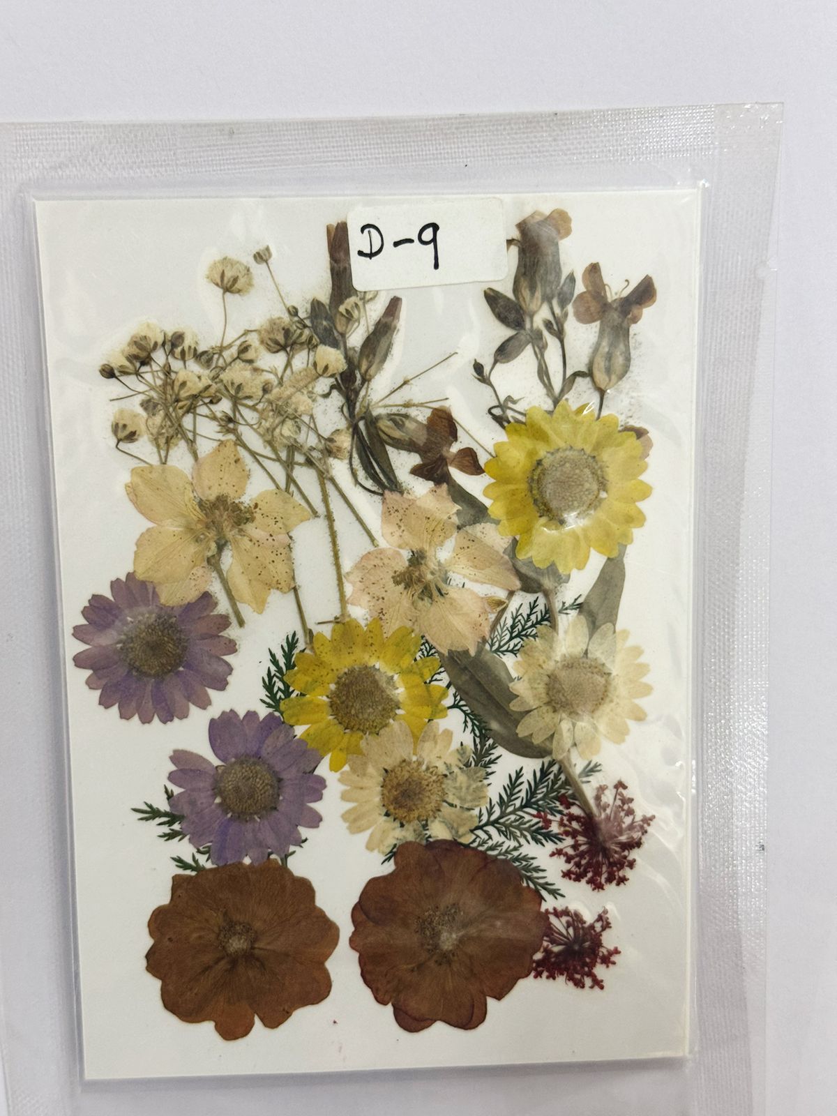 Pressed Dried Flowers- 1 pack Design -9