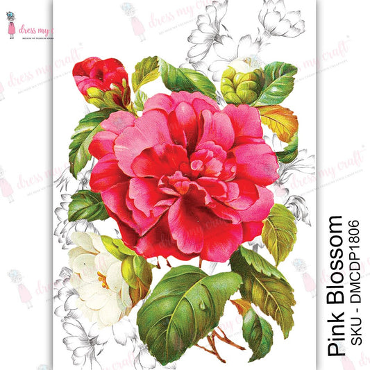 Pink Blossom – Transfer Me