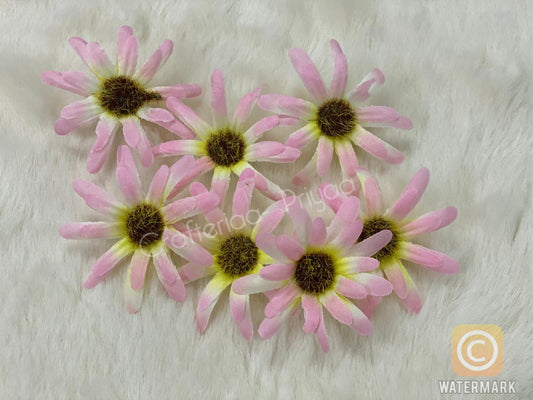 Sunflower- 25 Pieces- D23