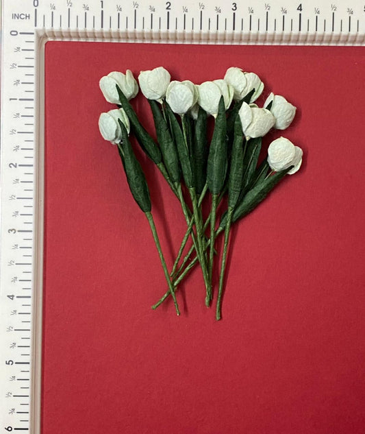 Tulips- 10 Pieces- shade 27