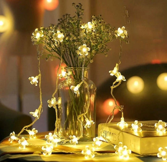 Flower Lights- 20 led lights