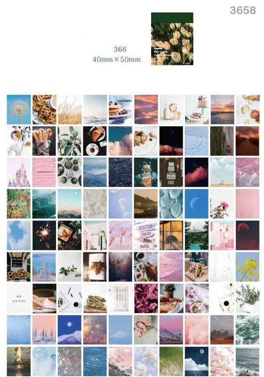 Vellum Ephemera Set of 365 sheets- (5×4 cm)- Design 8