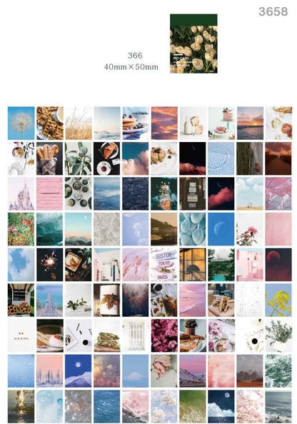 Vellum Ephemera Set of 365 sheets- (5×4 cm)- Combo