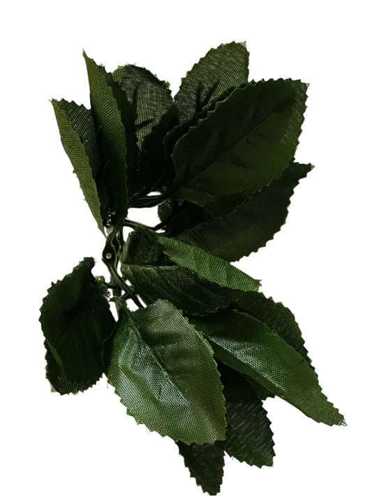 Leaf- Design F