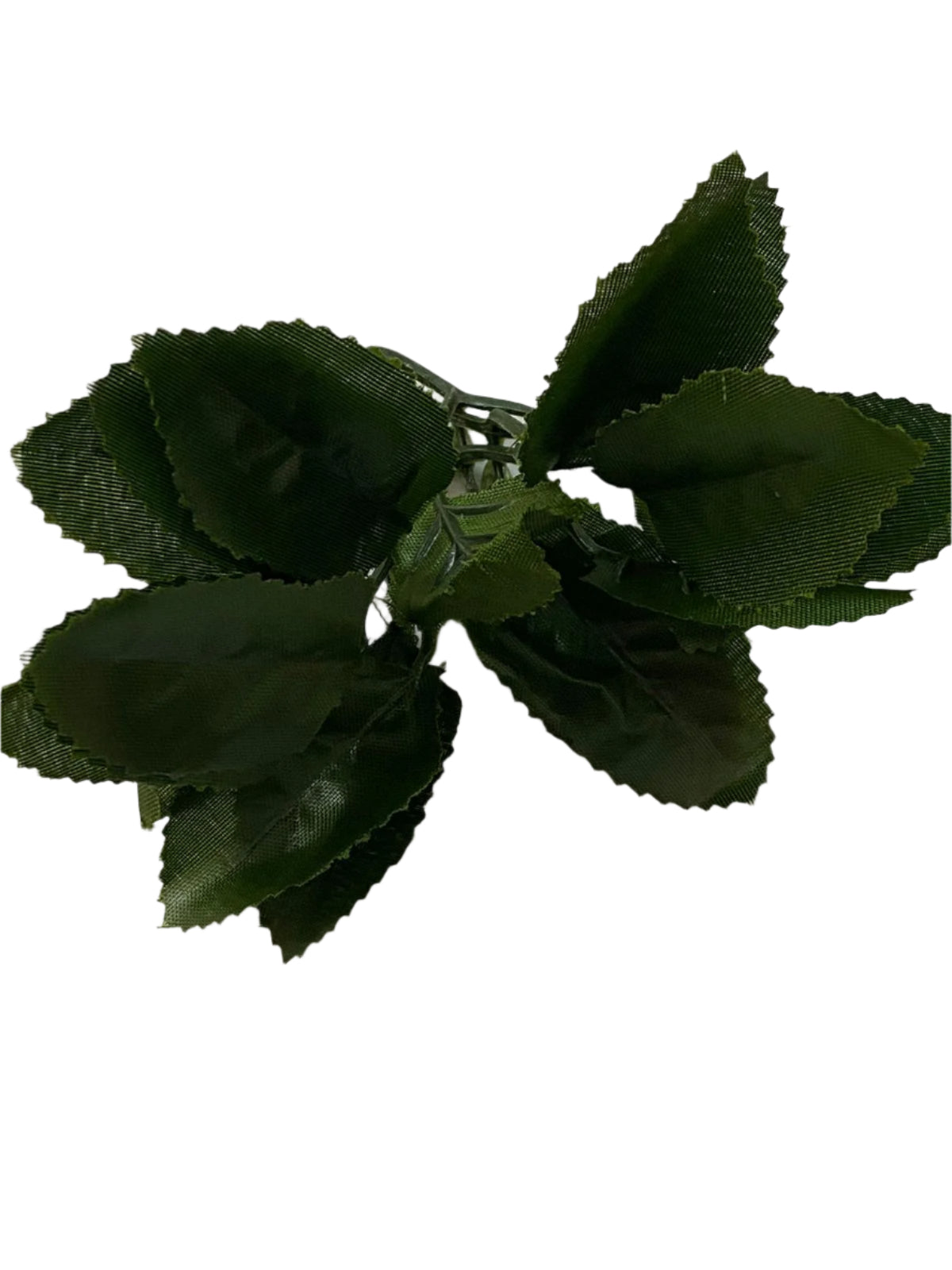 Leaf- Design F