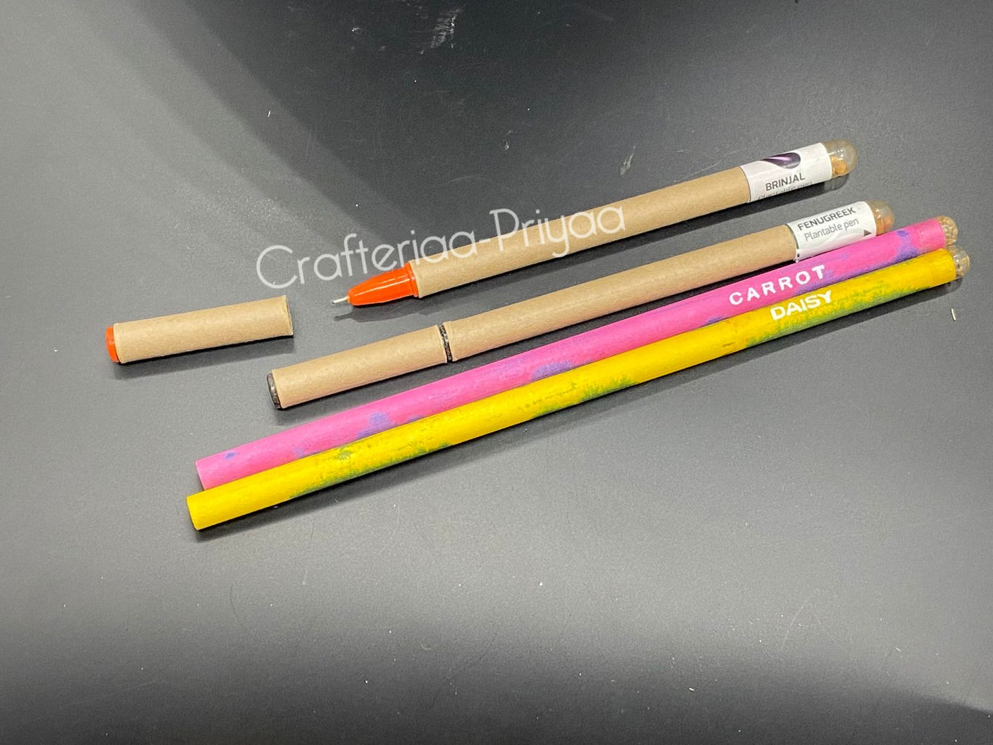Plantable Eco 2 Pen + 2 Pencil