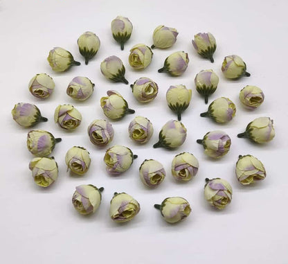 PEONY – 40 pieces