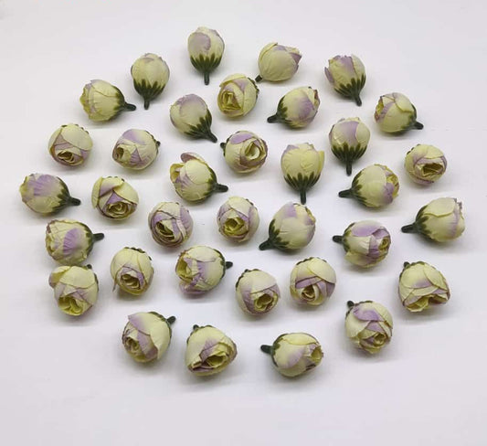 PEONY – 40 pieces