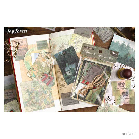 Places To Explore Stickers set – Forest – 30 Pieces – CPJ452