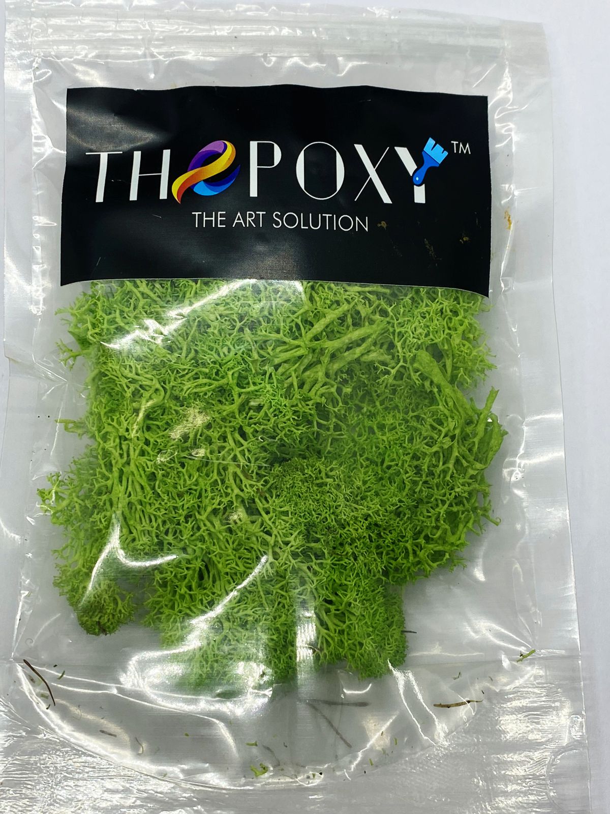 Reindeer Moss Grass