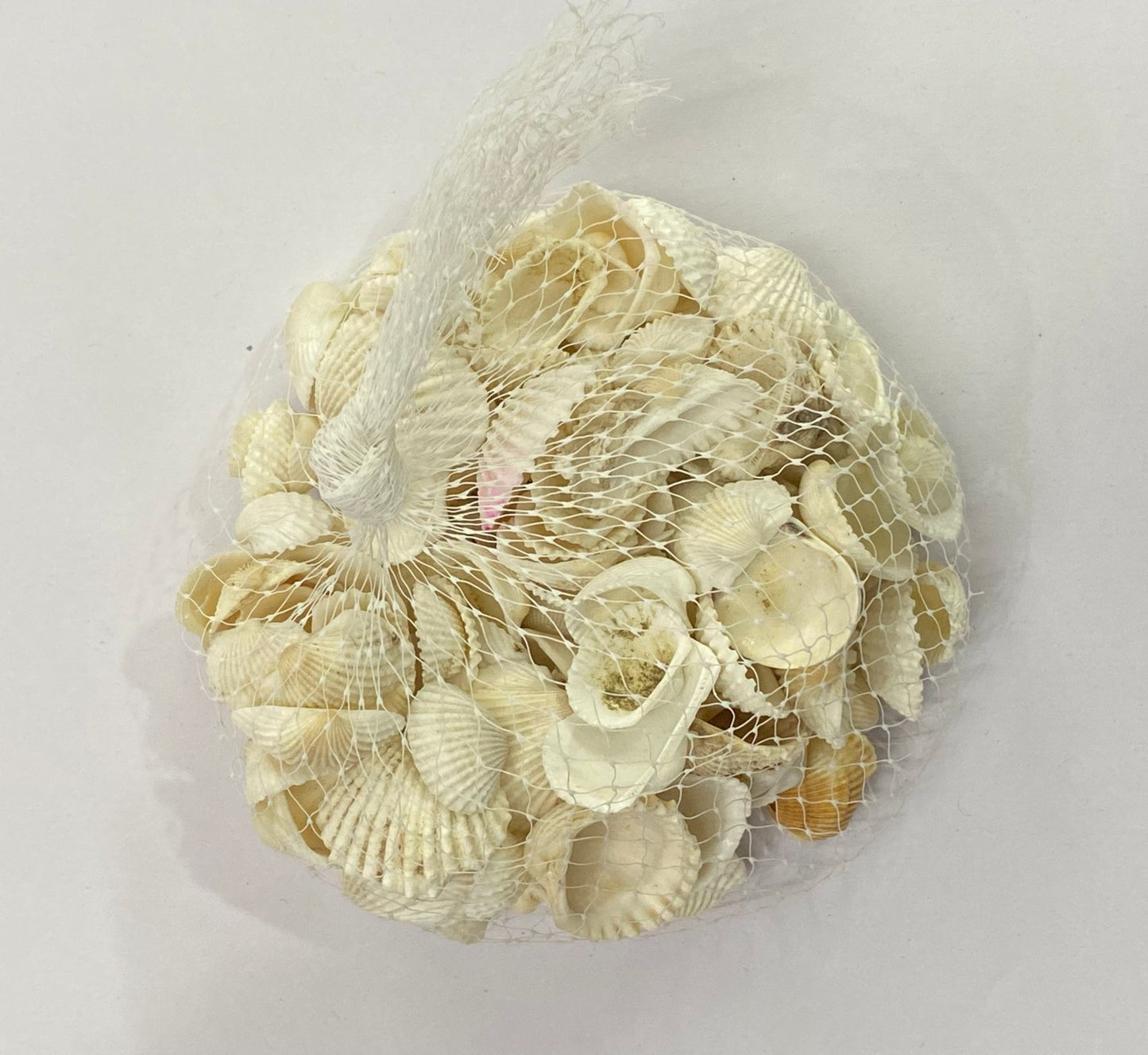 Shell Design – 5
