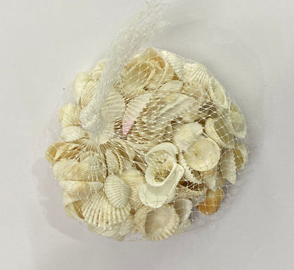 Shell Design – 5