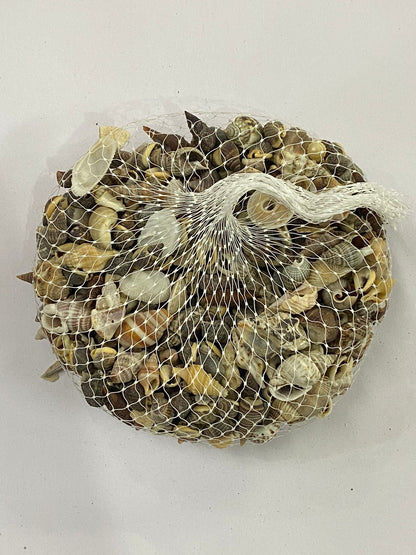 Shell Design – 14