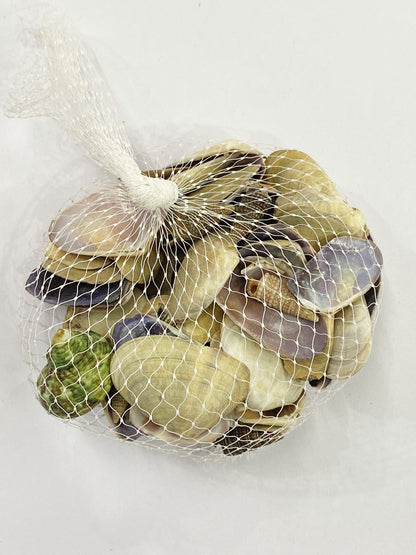 Shell Design – 19