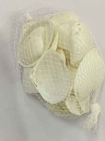 Shell Design – 21