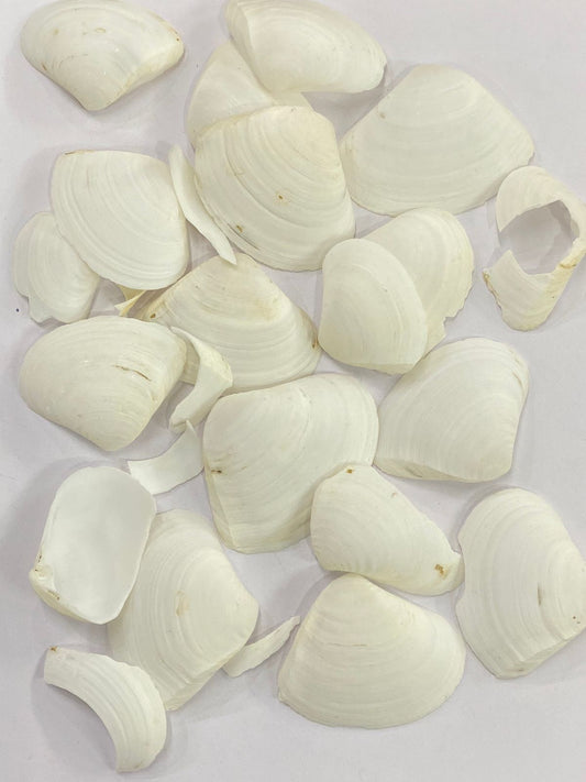 Shell Design – 21