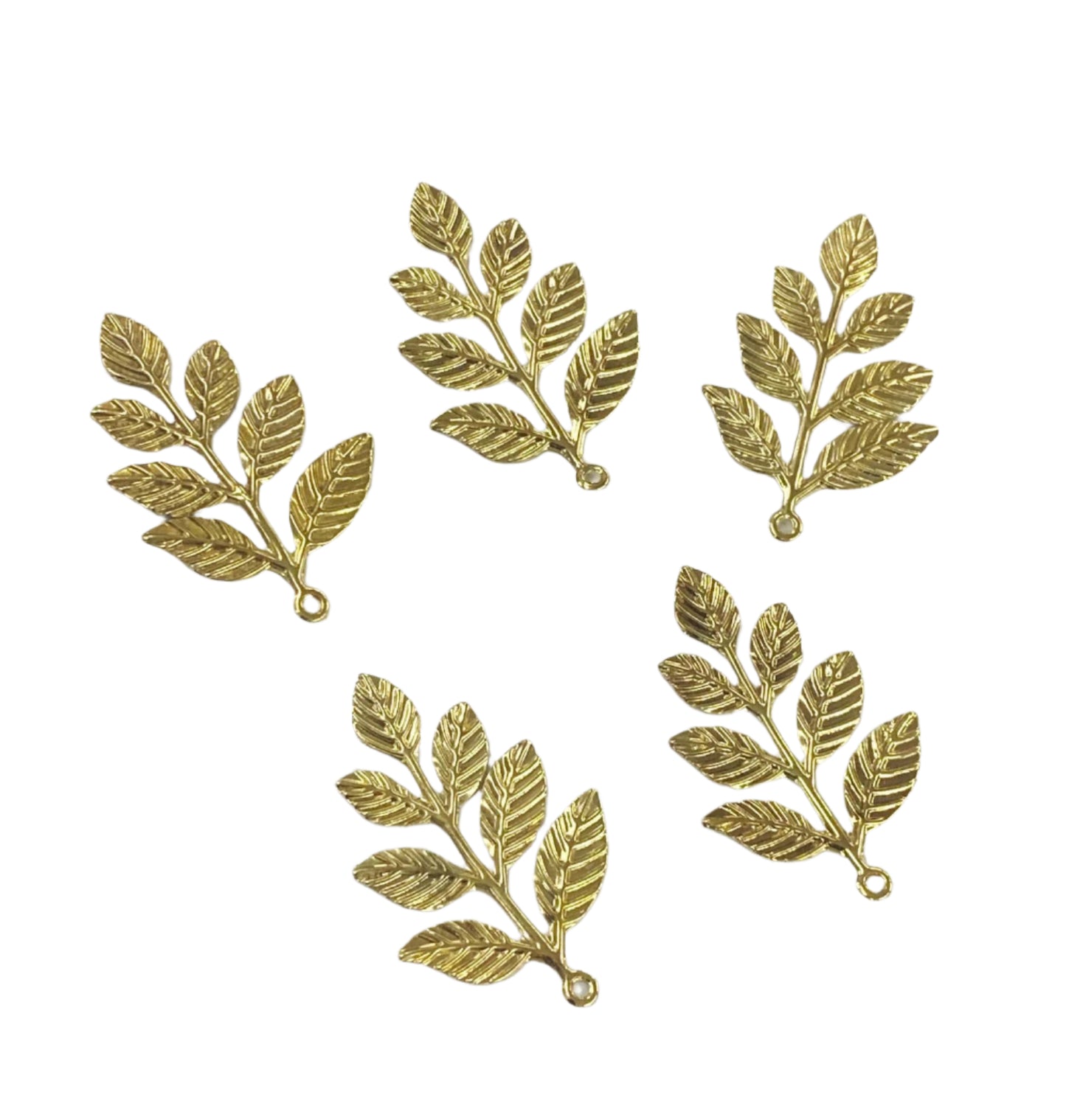Leaves – 100 gms