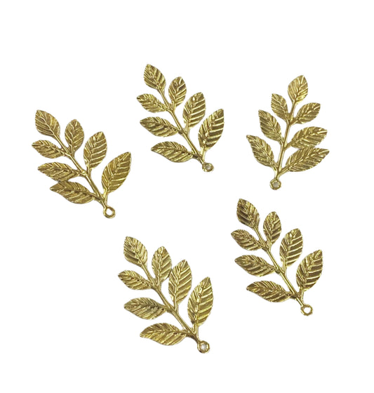 Leaves – 100 gms