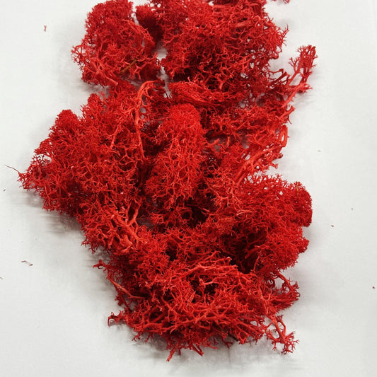 Moss Grass-  Red color - 20 gm