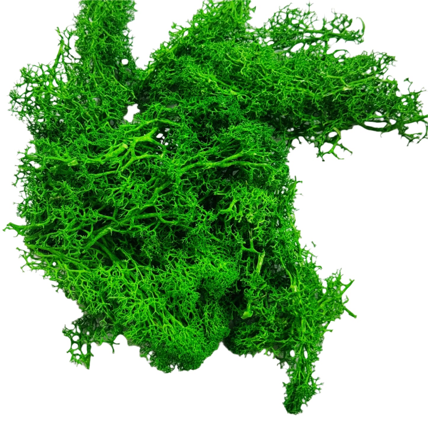 Moss Grass-  Dark Green color - 20 gm