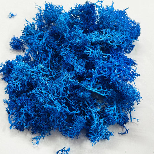 Moss Grass-  Blue color - 20 gm
