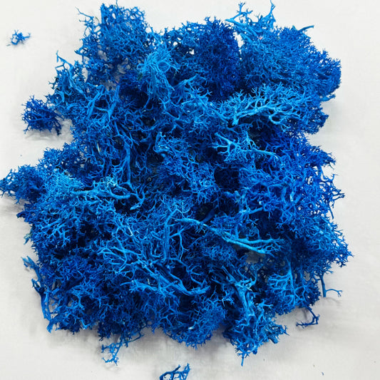Moss Grass-  Blue color - 20 gm