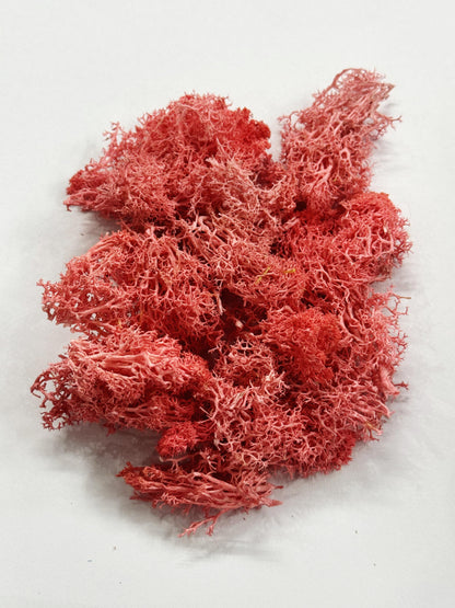 Moss Grass-  Light Pink color - 20 gm