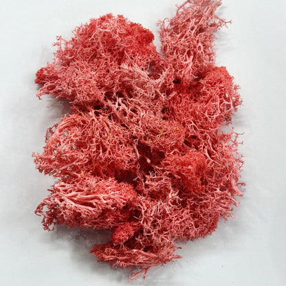 Moss Grass-  Light Pink color - 20 gm