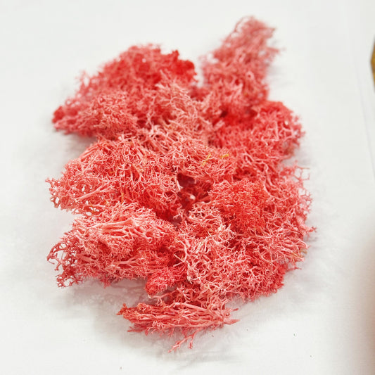 Moss Grass-  Light Pink color - 20 gm