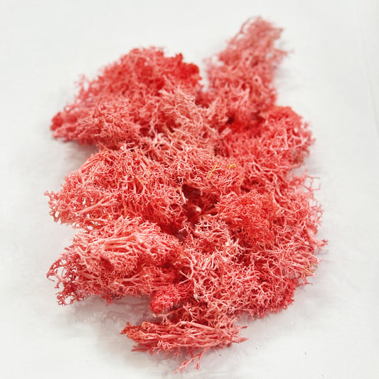 Moss Grass-  Light Pink color - 20 gm