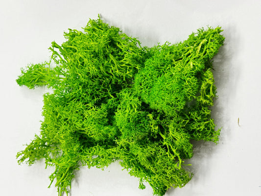 Moss Grass-  Light Green color - 20 gm