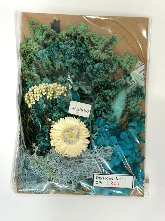 Dry Flower - Design -1