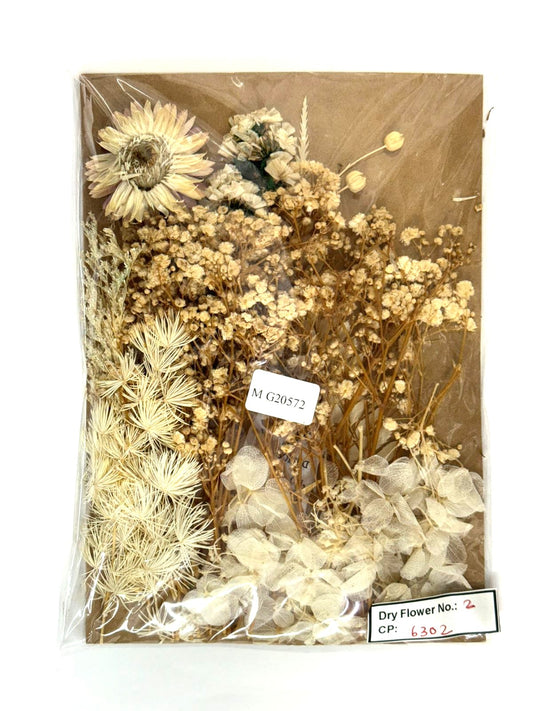 Dry Flower - Design -2