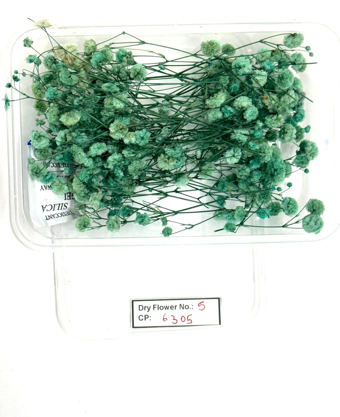 Dry Flower - Design - 5