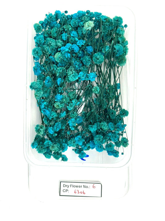 Dry Flower - Design - 6