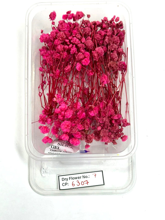 Dry Flower - Design - 7