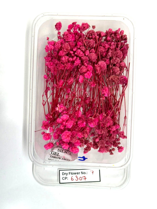 Dry Flower - Design - 7