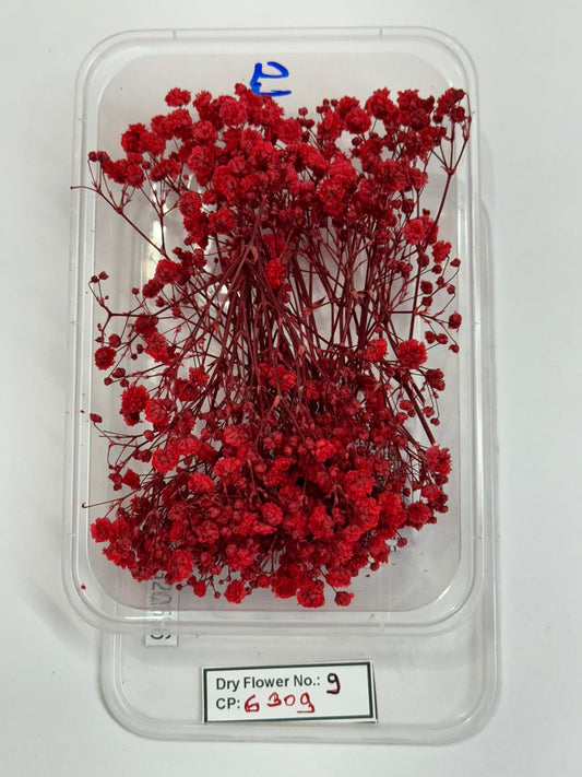 Dry Flower - Design - 9