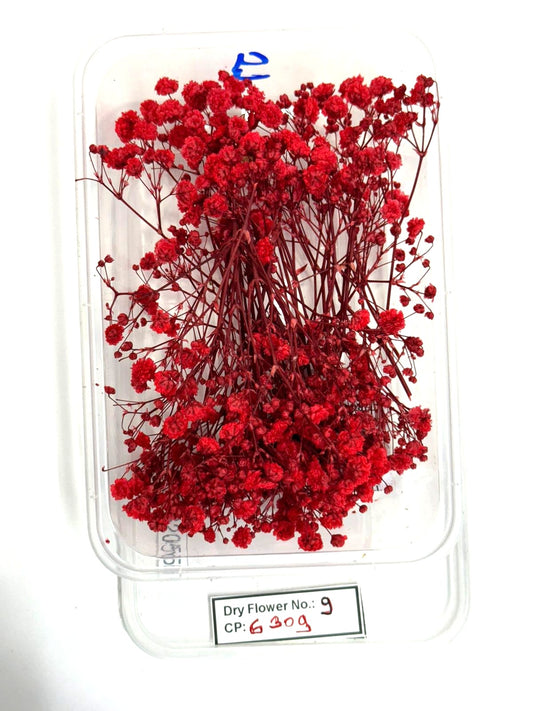 Dry Flower - Design - 9