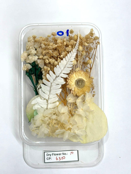 Dry Flower - Design - 10